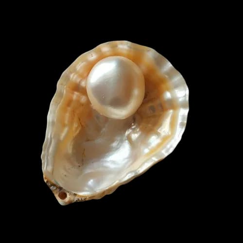 June Birthstone - Pearl