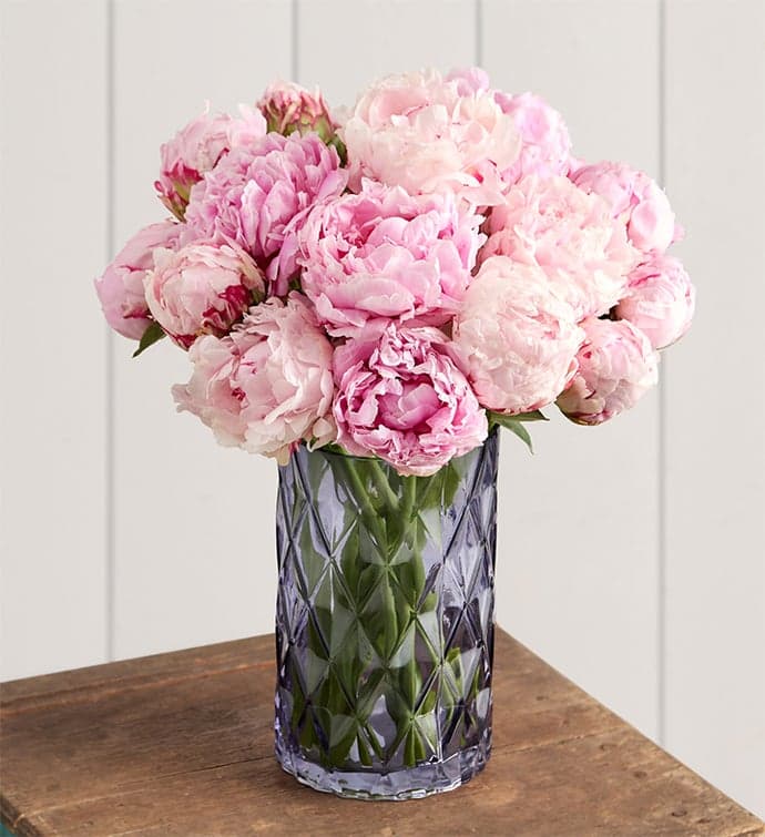 November Birth Flower in History